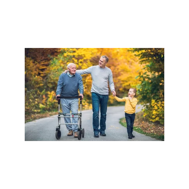 Que choisir entre un déambulateur ou un rollator pour se déplacer en toute sécurité en Wallonie et à Bruxelles ? Que choisir entre un déambulateur ou un rollator pour se déplacer en toute sécurité en Wallonie et à Bruxelles ?