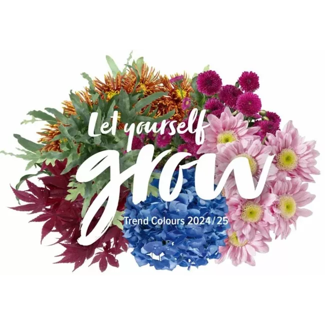 Découvrez Trend Colours - Bas de compression colorés Découvrez Trend Colours - Bas de compression colorés