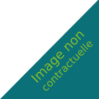 Image non contractuelle triangle bas droite